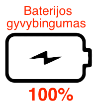 Baterijos gyvybingumas 100% Product page